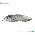 2years warranty rgb/white/warm white SMD 5050 flexible led strip with CE ROHS